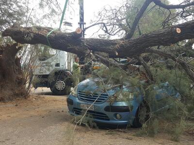Η γυναίκα που γλίτωσε από τύχη, όταν τερ...