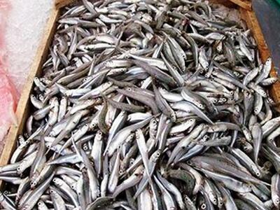 Απίστευτη ληστεία στον Άγιο Νικόλαο Βόνιτσας