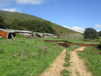 Καλάβρυτα:Δημοτικά τέλη και στους στάβλους