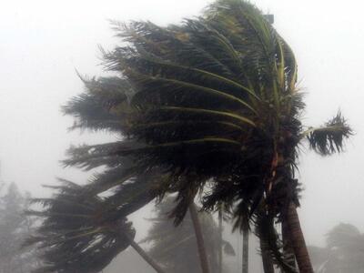 Σχεδόν θυελλώδεις άνεμοι στην Αρχαία Ολυ...