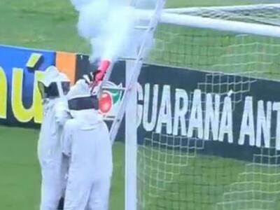 Το μελίσσι στα γκολπόστ - ΔΕΙΤΕ ΤΟ ΒΙΝΤΕΟ