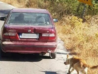 Νέα τροπή στην υπόθεση με τον σκύλο που ...