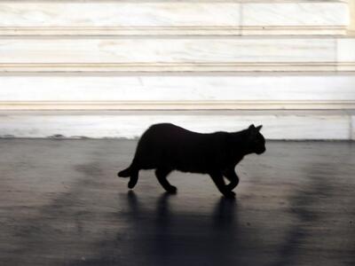 Γιατί η Τρίτη και 13 θεωρείται γρουσούζικη ημέρα;