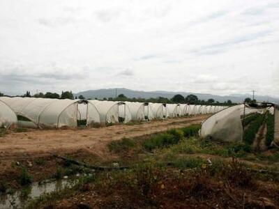 Σύλληψη δυο αλλοδαπών για κλοπή καλωδίων...