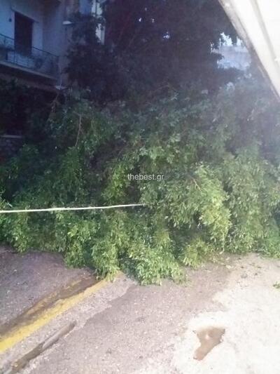 Η στιγμή που έπεσε το δέντρο στο δίκτυο ...