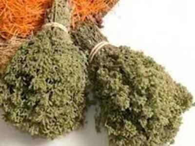 Ηλικιωμένη σκοτώθηκε μαζεύοντας ρίγανη