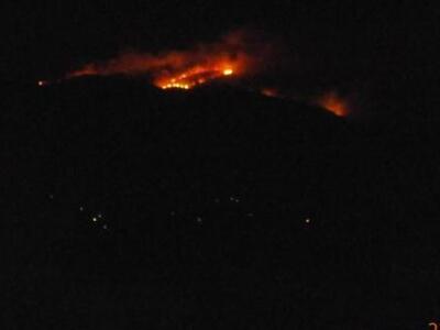 Πάτρα: Στάχτη 370 στρέμματα δασικής έκτα...