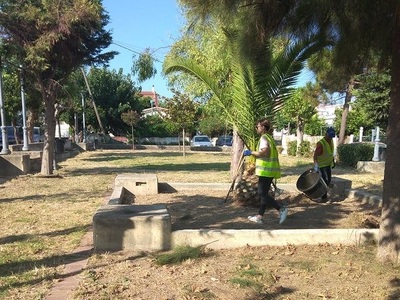 Πάτρα: Κλάδεμα δέντρων σε Βραχνέικα και ...