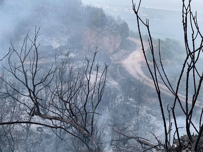 Φωτιά-Εύβοια: Καίει ανεξέλεγκτα σε τέσσερα μέτωπα