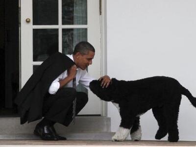 Οι σκύλοι του Ομπάμα περίμεναν 120 ημέρε...