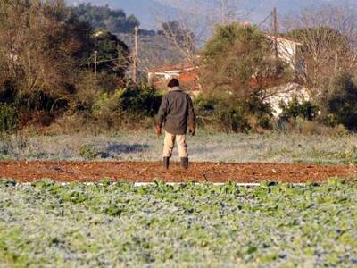 Αχαΐα: Ενημερωτική ομιλία για τα φυτοφάρμακα