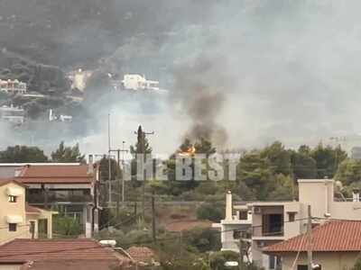 Πάτρα: Χωρίς ενεργό μέτωπο η φωτιά στο Π...