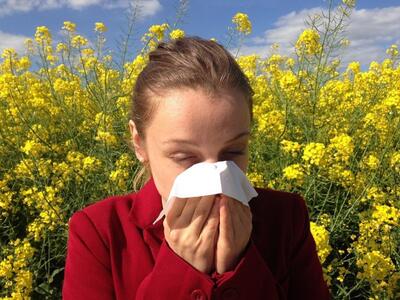 Ημερίδα για τις: «Συχνές Αλλεργικές Παθή...