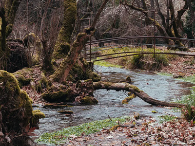 Στα μονοπάτια του Αροάνιου: Το μαγικό δά...