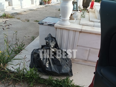 Καταγγελία στο thebest.gr: Σακούλες με ο...