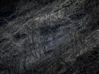 φωτο eurokinissi Περιστερι Ηλείας