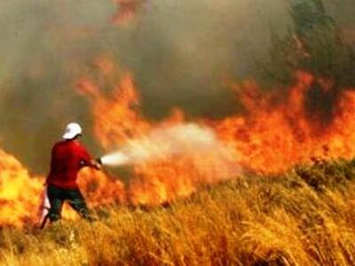 Κρανίου τόπος η Γαβρολίμνη Αιτωλοακαρναν...