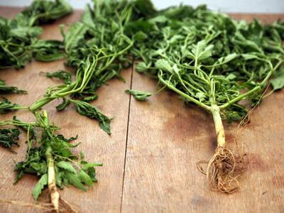 Ηράκλειο: Στον εισαγγελέα ο παπάς με τo… χασίς