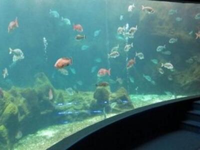 Στην Κρήτη δύο από τα καλύτερα ενυδρεία ...