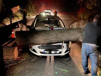 Ηλεία: Δέντρο έπεσε σε εν κινήσει ΙΧ- Τυ...