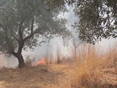 Αγρίνιο: Φωτιά στην περιοχή της Νεάπολης...