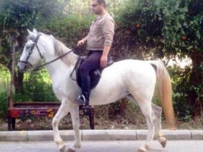 Γνωρίστε την ΕΒΑ το πανέμορφο λευκό άλογ...