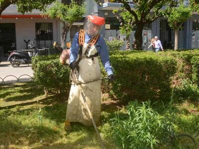 Πάτρα: Συνεχίζονται οι εργασίες κοπής χό...