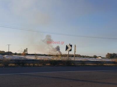 ΤΩΡΑ: Φωτιά στο Βουπράσιο Αχαϊας - ΦΩΤΟ