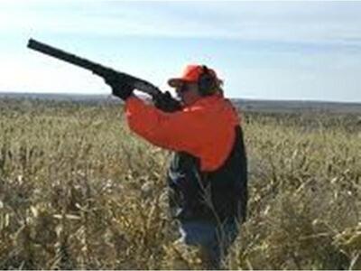 Πρέβεζα: Εξύβρισε τους θηροφύλακες, πυρο...