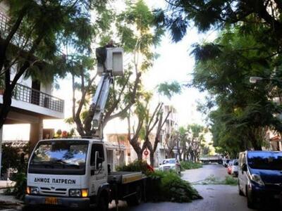 Πάτρα: Κλάδεμα στην Έλληνος Στρατιώτου τ...