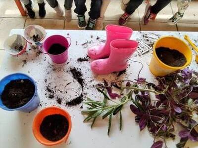 Η Δράση «Ψάχνουμε τον Κρυμμένο Πράσινο Θ...