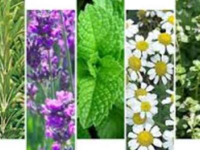 Πάτρα:«Ημερίδα για την προώθηση της καλλ...