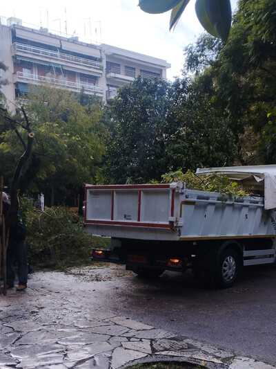 Πάτρα: Eπέμβαση για να σωθεί η γαζία στην πλατεία Όλγας