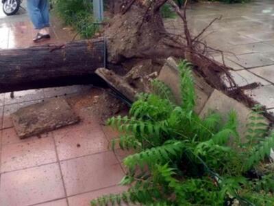 Πάτρα: Ο αέρας "έκοψε" το ρεύμ...