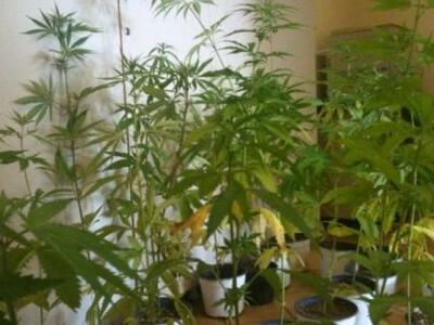 Κόρινθος: Συνελήφθη στέλεχος του ΠΑΣΟΚ γ...