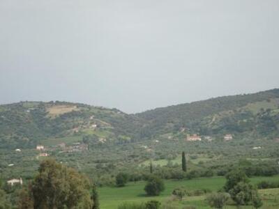 Αχαΐα: 62χρονος πυροβόλησε εναντίον δύο ...