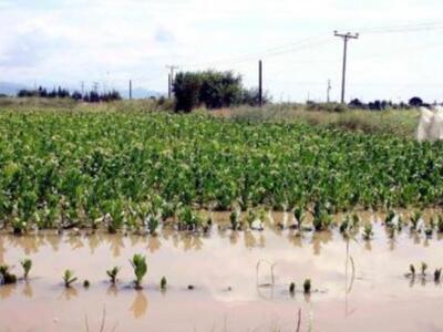 Αίτημα για έκτακτο Περιφερειακό Συμβούλι...