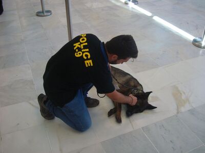 Δυτ. Ελλάδα: H αστυνομική σκυλίτσα Mendy...