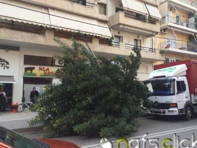 Φορτηγό παρέσυρε δένδρο στη Ναύπακτο, στ...