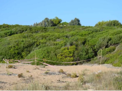 Κυπαρισσία: Δολοφονία για 10.000 ευρώ – ...