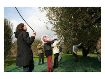 Oι Γερμανοί ξανάρθαν και...πόνεσαν τους ...