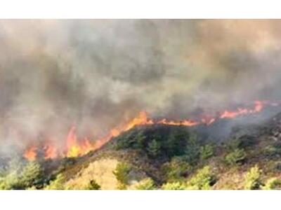 Τρίπολη: Μεγάλη πυρκαγιά μαίνεται σε δασική έκταση