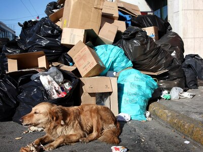 Θα χρειαστούν μέρες για να μαζευτούν τα ...