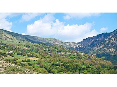 Καλάβρυτα: Ποιους στηρίζει ο Σύλλογος απ...