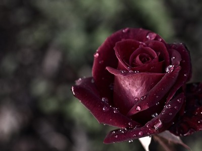 Την Παρασκευή κηδεύεται ο 11χρονος Νίκος...