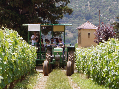Στους ξεχωριστούς δρόμους του κρασιού, μ...