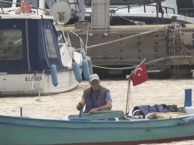 Θαλάσσια βλέννα: Απο τις ακτές του Μαρμα...