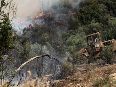 Αναδασωτέες όλες οι καμένες εκτάσεις, με...