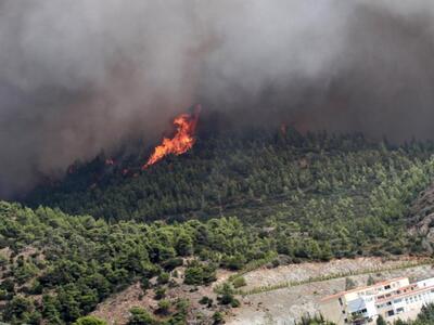 Αναζωπυρώθηκε η φωτιά στην Εύβοια-Δεν κι...