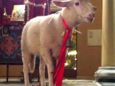 Τα  highlights αυτού του Πάσχα στους ναο...